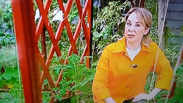 доброе утро Самойловка смотреть онлайн