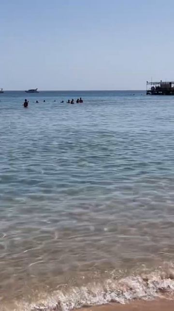 Egypt. Red Sea. Hurghada. Hotel Tia Heights Makadi bay. Египет. Хургада. Красное море смотреть онлайн