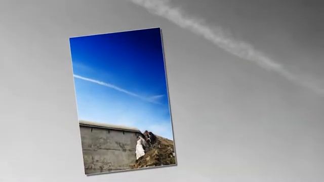 Свадебный фотограф Вадим Ковалевский: Оля и женя смотреть онлайн