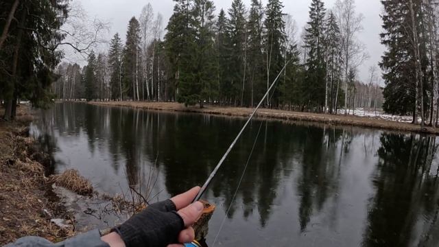 ЛОВЛЯ ЩУКИ В МАРТЕ НА ВОБЛЕРЫ.РЫБАЛКА НА СПИННИНГ 2024.ЩУКА НА УЛЬТРАЛЙАТ смотреть онлайн