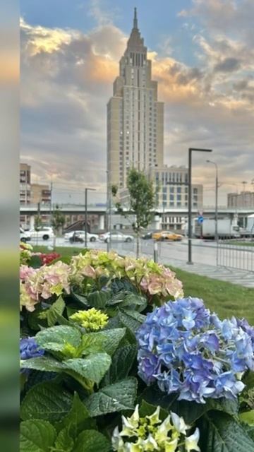 ВАУ Озеленение ресторана#рестораны#озеленение#кашпо#гортензии#ландшафт#сад#цветы смотреть онлайн