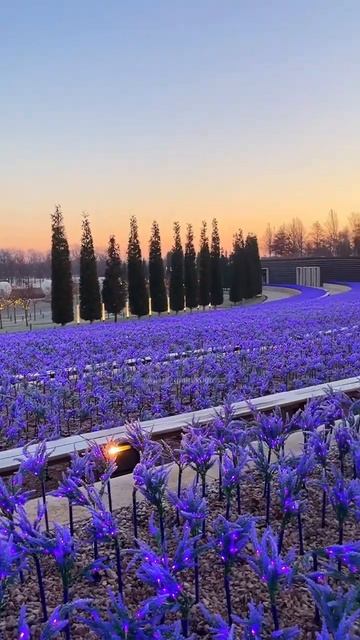 Очень морозное утро в Краснодаре 🥶❤️ И лиловый рассвет в Парке Галицкого смотреть онлайн