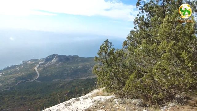 2016.10.22 Поход от Ласпи до Оливы смотреть онлайн