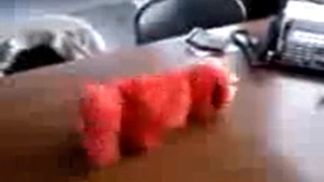 смешное видео (игрушка из мульта)