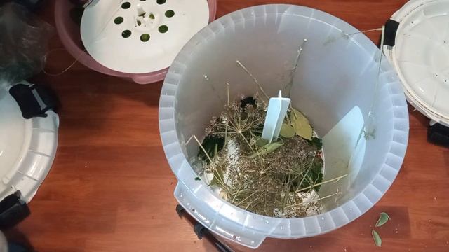 Супер бочка для засолки из Светофора. Необычная конструкция. Покажу как работает смотреть онлайн