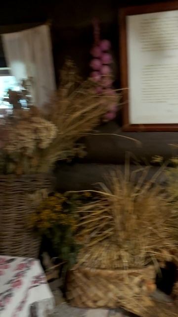 домик Арины Радионовны,снимать нельзя🤭 #horse # смотреть онлайн