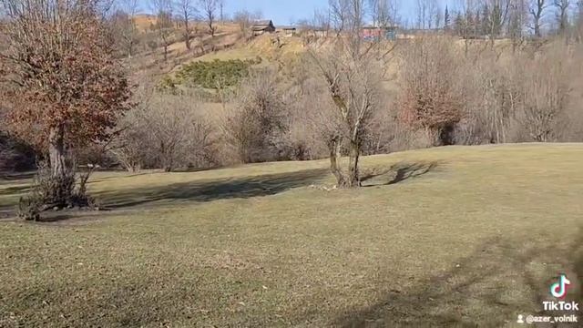 Astara .это тоже смотреть онлайн