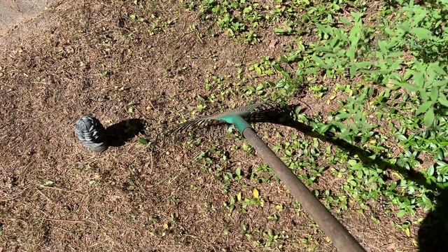 Заиюнится, заиюлится, если сердце перестанет хмурится… смотреть онлайн