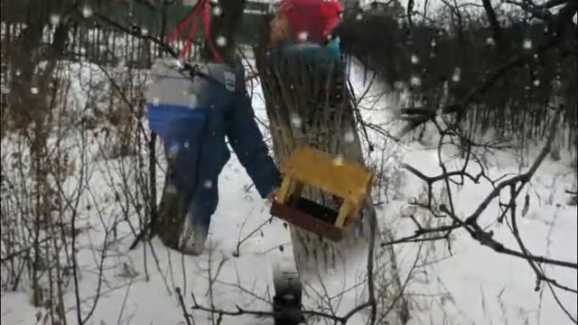 Птичья столовая смотреть онлайн