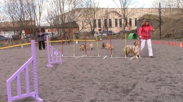 участник №14 "Весенние Австралийские ИГРЫ в Пушкине" 24.04.16 смотреть онлайн