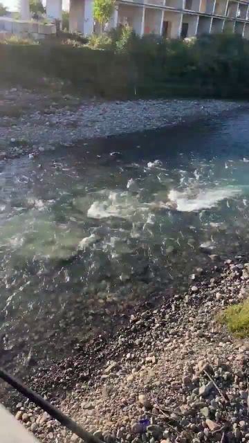 Чистенькая прозрачная горная речка в пригороде Батуми. Махинджаури Грузия 2023 #shorts смотреть онлайн