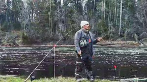 Ловим Сырть на малых реках.Фидерная ловля на реке с быстрым течением.