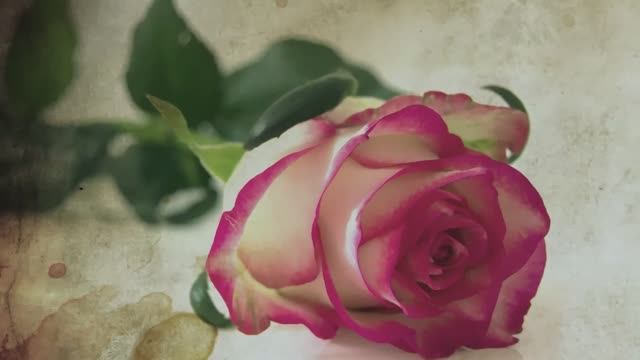 Разговор (благодарить?) - ремейк смотреть онлайн