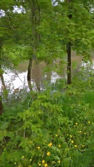 Потоп в Ашукино смотреть онлайн