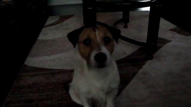 Истинный Леонардо смотреть онлайн