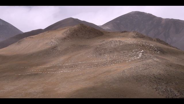 The Velvet Queen |🌳Nature | Full Documentary смотреть онлайн