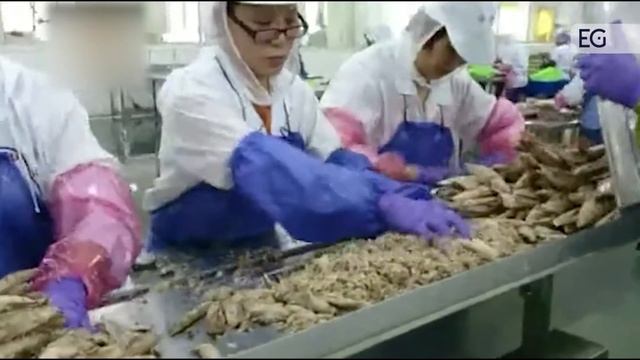 Линия для производства и укупорки консервов смотреть онлайн