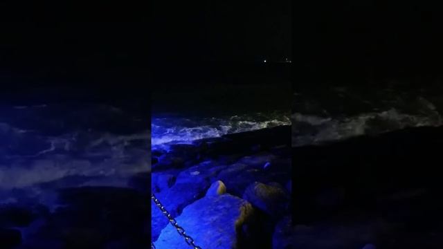 Неделя влогов в Дубаи 2 день🌊 смотреть онлайн