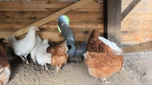 кормушка для кур своими руками