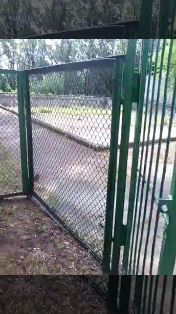 Заброшенный в лагере "Солнечный" смотреть онлайн