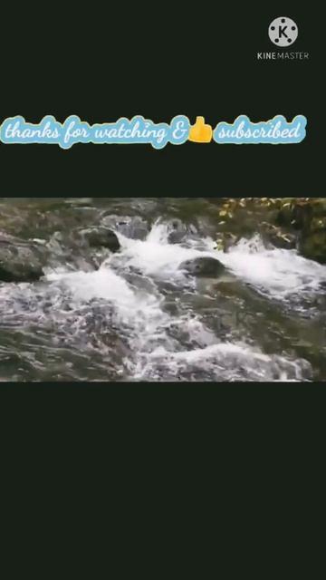 #youtubeshorts #ringtone #river