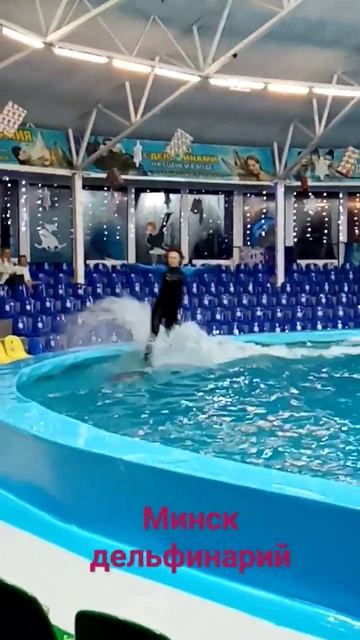Минск дельфинарий классный отдых 😉 смотреть онлайн