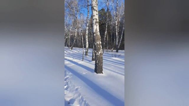 Выезд на автодоме в зимний лес смотреть онлайн