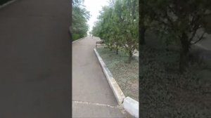 Евпатория Санатория Чайка 13.07.23 г