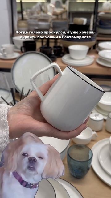 ПОСУДА ДЛЯ РЕСТОРАНОВ #ресторан #тренд #питер #тренды #шортс #спб #шефповар #кафе #посуда #посуда смотреть онлайн