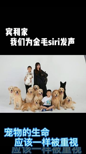 #Short #Dog #Best Dog's Life | Удивительная собака 2021 | Готовка собак 2021 | Умная собака 2021