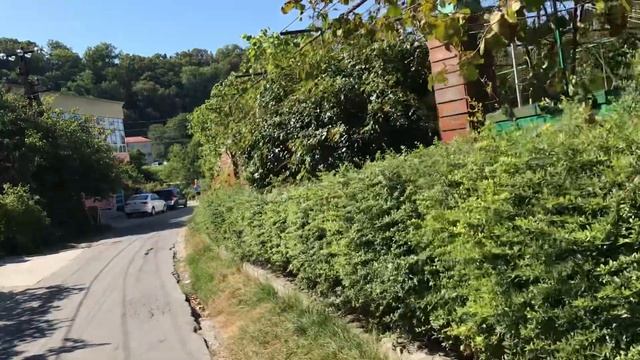 Дедеркой 2023.Август