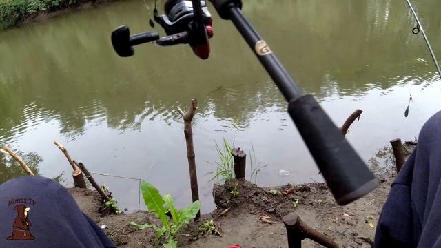 Рыбалка на моей реке Сок Самарская область смотреть онлайн