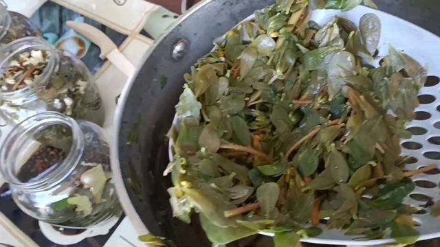 Путешествия в заказники - путешествуйте вместе с нами!