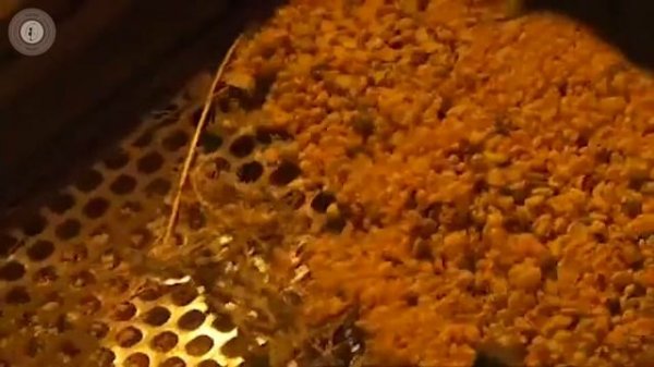 Этапы обработки кофейного зерна