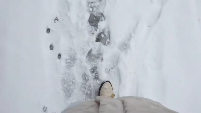 Daily vlog: Брест, учёба, поездки, завтраки смотреть онлайн