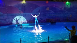 ДЕЛЬФИНАРИЙ В ЛАЗАРЕВСКОМ/СКОЛЬКО СТОИТ/ВПЕЧАТЛЕНИЯ РЕБЕНКА