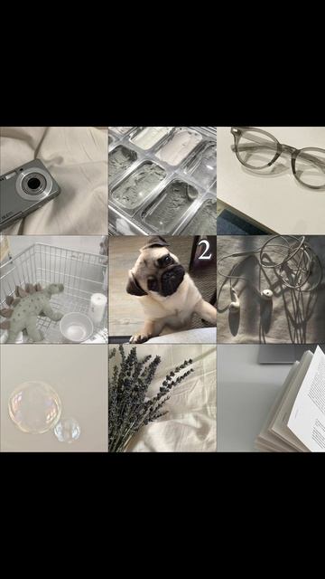 Версия с собачками✨