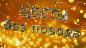 Цветы без повода - счастье в ладонях