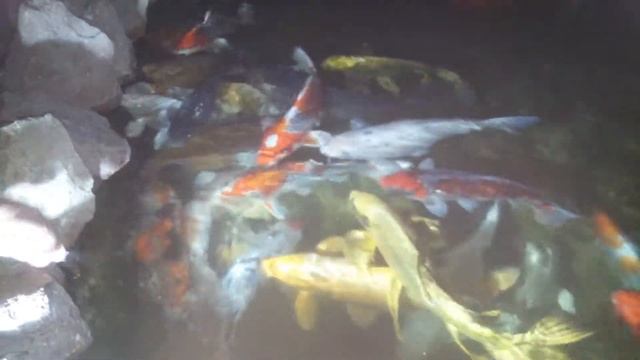 САНАТОРИЙ ВС РФ смотреть онлайн