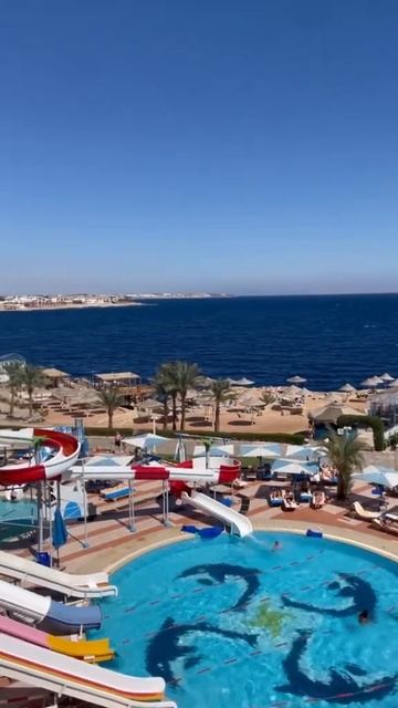 Dreams Vacation Beach Resort Sharm El Sheikh #beach #travel #summer #sun #египет #шармэльшейх2024 смотреть онлайн