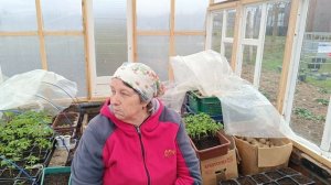 Легла в больницу.Андрей клеит панели в прихожей и продолжает мыть крышу.Всю рассаду из дома вывезли