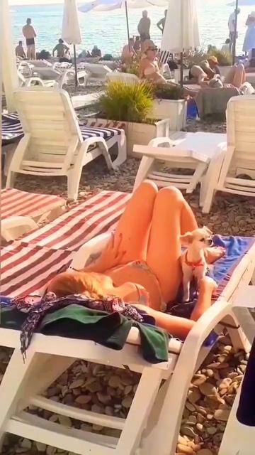 ⛱️Прекрасная погода на курорте Ольгинка #отдых #семья #курортыроссии #live #черноеморе #жизньнамор смотреть онлайн