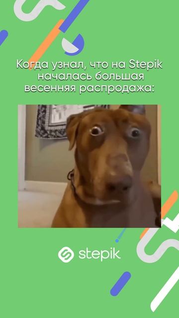 Распродажа уже на Stepik! До 2 июня курсы со скидками в нашем каталоге, ссылка в шапке профиля 👆🏻 смотреть онлайн
