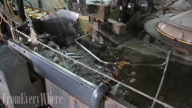 Preparation Of Silk Thread From Cocoon смотреть онлайн