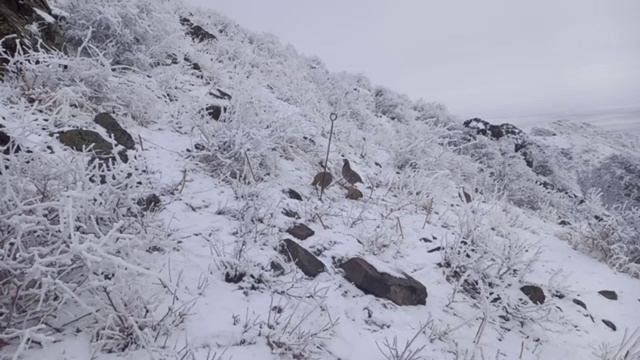 КРУТОЙ ОХОТНИК смотреть онлайн