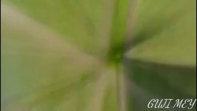 [Edit] /Как к себе домой/ |Супер кот| смотреть онлайн