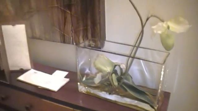 Отель Авейру смотреть онлайн