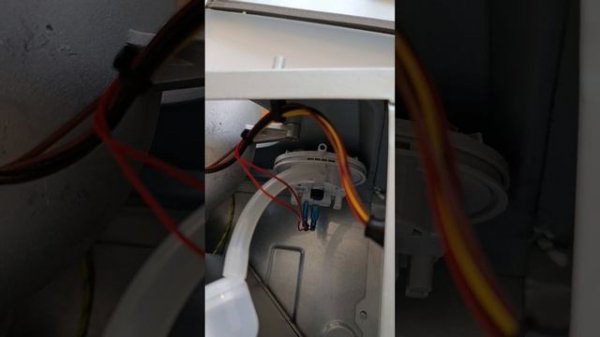 Mizudo Maestro One . Обзор