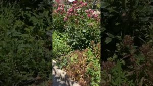 Отзыв на отдых в Иссык -куле