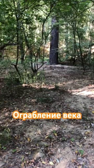 #ставрополь #новости #путешествия #природа #осень2023 #белки #комсомольскийпруд смотреть онлайн